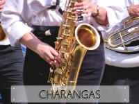 /album/espectaculosfabri/charangas1-jpg/